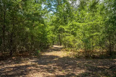 1107 Gray Mare Hollow Road, Aiken, SC 29803 - Photo 78