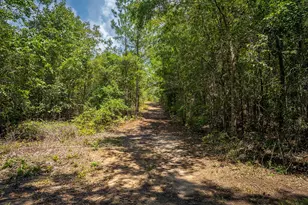 1107 Gray Mare Hollow Rd, Aiken, SC 29803 - Photo 80