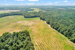 356 Massey-Doss Rd, Keysville, GA 30816 - Photo 10