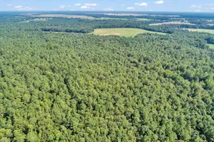 356 Massey-Doss Rd, Keysville, GA 30816 - Photo 12