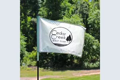 234 Long Shadow Drive, Aiken, SC 29803 - Photo 8