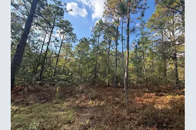 1422 Herndon Dairy Road, Aiken, SC 29803 - Photo 4