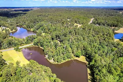 98 Bream Oak Road, Trenton, SC 29847 - Photo 76