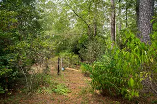 1129 Bellreive Dr, Aiken, SC 29803 - Photo 50