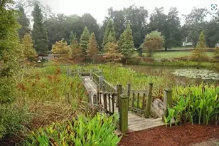 271 Balbriggan Pl, Aiken, SC 29801 - Photo 36