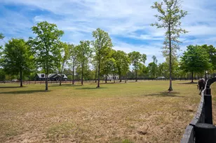 707 Paddock Clb Pkwy, Aiken, SC 29803 - Photo 88