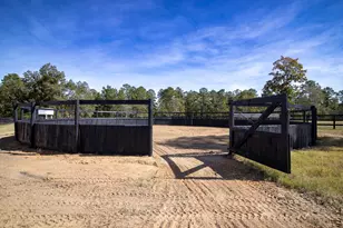 707 Paddock Clb Pkwy, Aiken, SC 29803 - Photo 14