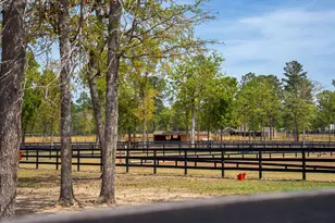 707 Paddock Clb Pkwy, Aiken, SC 29803 - Photo 90