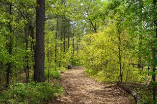 707 Paddock Clb Pkwy, Aiken, SC 29803 - Photo 92