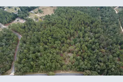 00 Holiness Church Rd Road, Wagener, SC 29164 - Photo 2