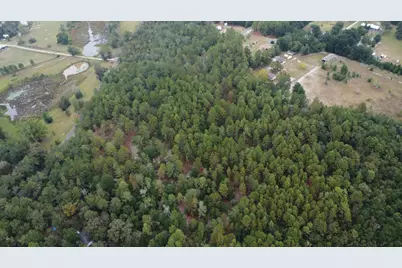 00 Holiness Church Rd Road, Wagener, SC 29164 - Photo 4