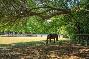 1242 Audubon Dr SE, Aiken, SC 29803 - Photo 4