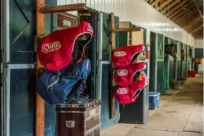 1242 Audubon Drive SE, Aiken, SC 29803 - Photo 14