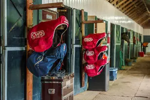 1242 Audubon Dr SE, Aiken, SC 29803 - Photo 14