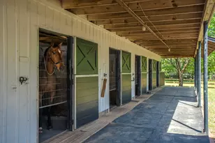 1242 Audubon Dr SE, Aiken, SC 29803 - Photo 32