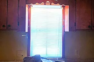 192 Bounty Rd, Eutawville, SC 29048 - Photo 8