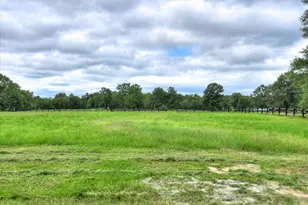 601 Bethcar Church Rd, Wagener, SC 29164 - Photo 34