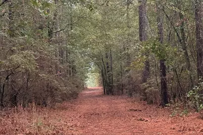 307 Fox Tail Court, Aiken, SC 29803 - Photo 34