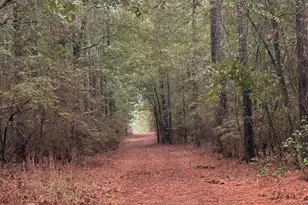 307 Fox Tail Ct, Aiken, SC 29803 - Photo 34