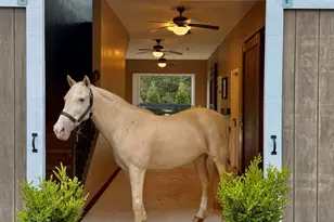 307 Fox Tail Ct, Aiken, SC 29803 - Photo 22