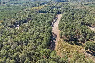 7901 Ashleigh Rd, Blackville, SC 29817 - Photo 74