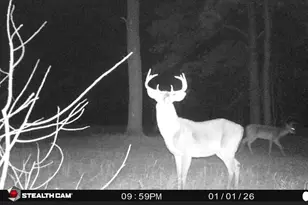 7901 Ashleigh Rd, Blackville, SC 29817 - Photo 8