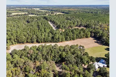 7901 Ashleigh Road, Blackville, SC 29817 - Photo 74