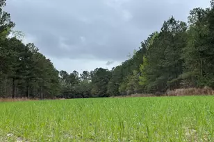 7901 Ashleigh Rd, Blackville, SC 29817 - Photo 88