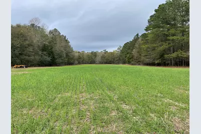 7901 Ashleigh Road, Blackville, SC 29817 - Photo 2