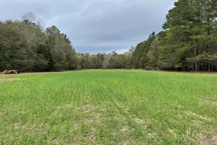 7901 Ashleigh Rd, Blackville, SC 29817 - Photo 2