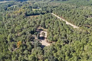 7901 Ashleigh Rd, Blackville, SC 29817 - Photo 72