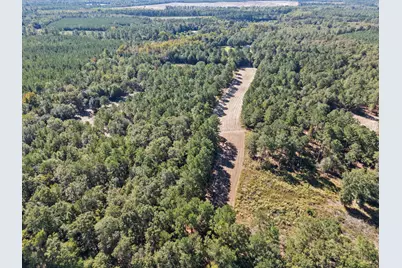 7901 Ashleigh Road, Blackville, SC 29817 - Photo 80
