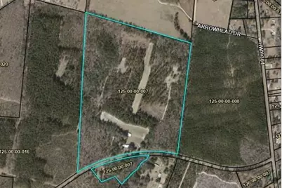 7901 Ashleigh Road, Blackville, SC 29817 - Photo 4