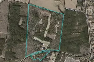 7901 Ashleigh Rd, Blackville, SC 29817 - Photo 4