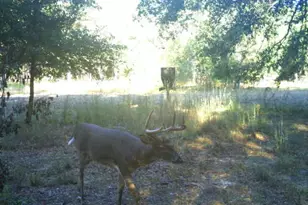 7901 Ashleigh Rd, Blackville, SC 29817 - Photo 42