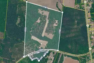 7901 Ashleigh Rd, Blackville, SC 29817 - Photo 90