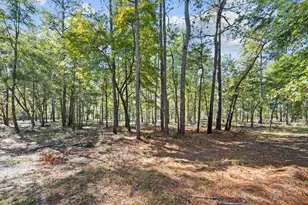 7901 Ashleigh Rd, Blackville, SC 29817 - Photo 60