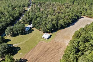 7901 Ashleigh Rd, Blackville, SC 29817 - Photo 8