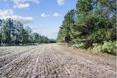 7901 Ashleigh Road, Blackville, SC 29817 - Photo 64