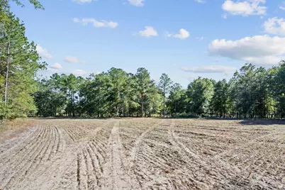 7901 Ashleigh Road, Blackville, SC 29817 - Photo 68