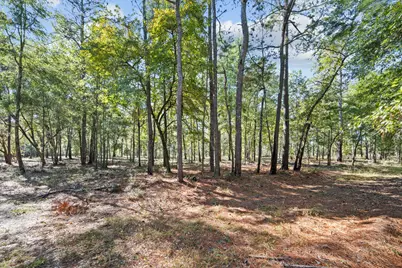 7901 Ashleigh Road, Blackville, SC 29817 - Photo 64