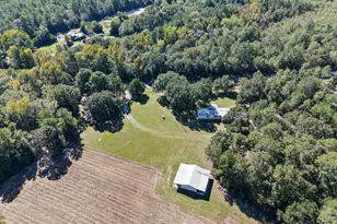7901 Ashleigh Rd, Blackville, SC 29817 - Photo 76