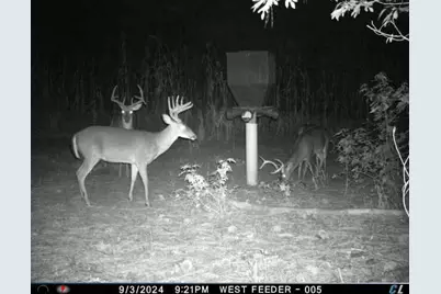 7901 Ashleigh Road, Blackville, SC 29817 - Photo 86