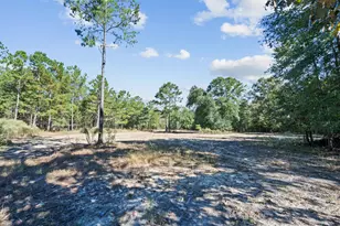 7901 Ashleigh Rd, Blackville, SC 29817 - Photo 70