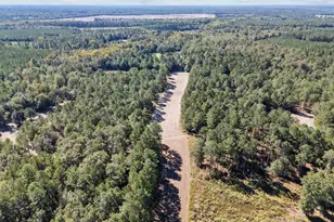 7901 Ashleigh Rd, Blackville, SC 29817 - Photo 80