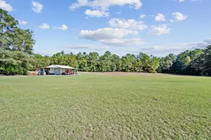 7901 Ashleigh Rd, Blackville, SC 29817 - Photo 58