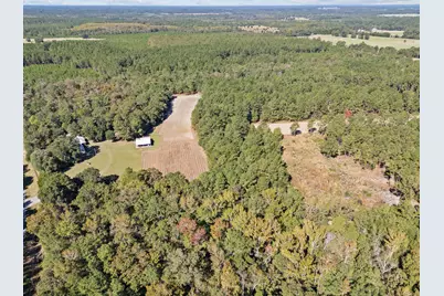 7901 Ashleigh Road, Blackville, SC 29817 - Photo 76