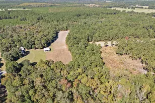 7901 Ashleigh Rd, Blackville, SC 29817 - Photo 76