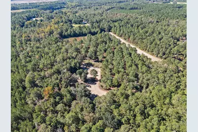 7901 Ashleigh Road, Blackville, SC 29817 - Photo 78