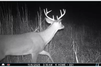 7901 Ashleigh Road, Blackville, SC 29817 - Photo 48